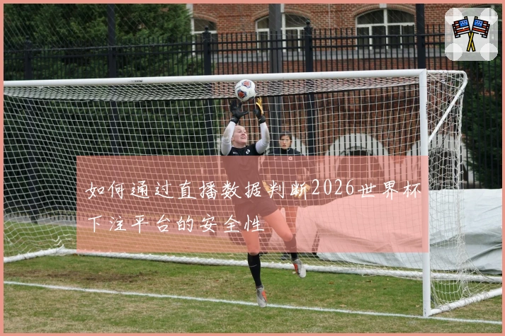 如何通过直播数据判断2026世界杯下注平台的安全性