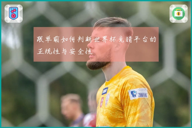 跟单前如何判断世界杯竞猜平台的正规性与安全性