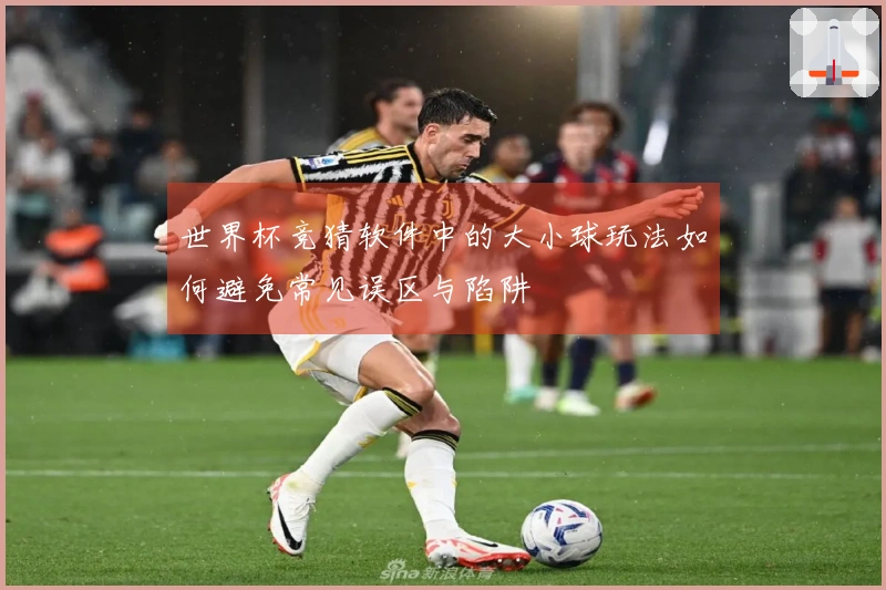 世界杯竞猜软件中的大小球玩法如何避免常见误区与陷阱